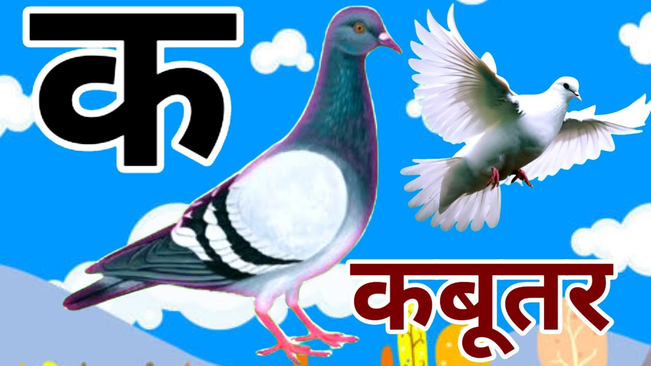 अ से अनार | आ से आम | a se anar | aa se aam | क से कबूतर | Ka se kabutar | स्वरब्यंजन #kasekabutar 
