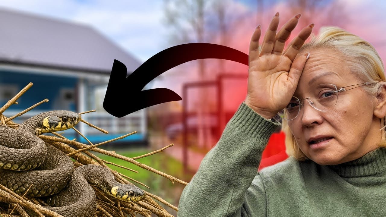 Думала просто убраться… Теперь продаю дачу!