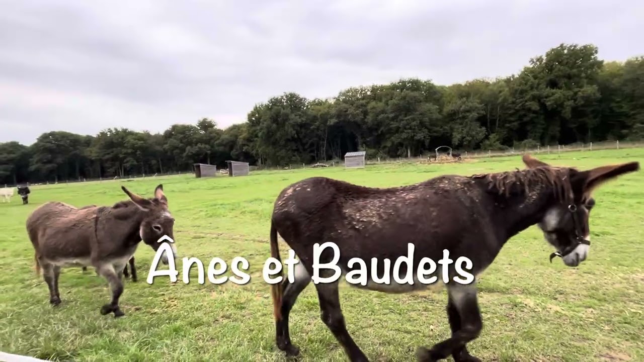 8 octobre 2025