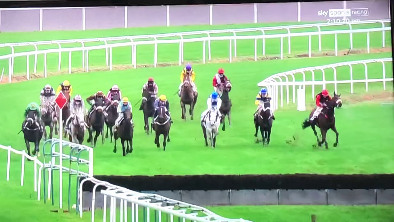 French Jockey Should Get Life Ban For This