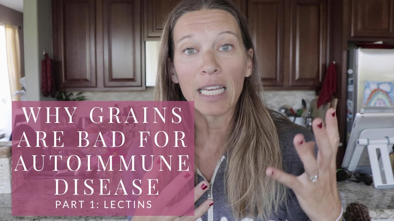 Why Grains Can Be Bad For Autoimmune Disease (Part 1: Lectins)