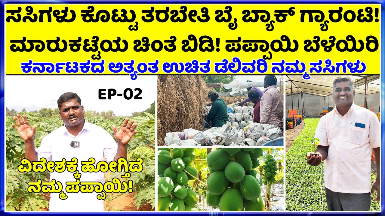 Call-9606658740 ನಿಮ್ಮ ಜಮೀನಿನಲ್ಲೇ  ದುಡ್ಡು ಕೊಟ್ಟು ನಾವೇ ಖರೀದಿಸುತ್ತೇವೆ | ನಮ್ಮ ತೋಟಕ್ಕೆ ಬನ್ನಿ ಊಟ ವಸತಿ ಉಚಿತ