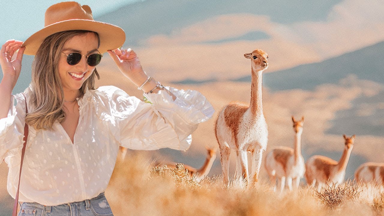 4 días recorriendo SAN PEDRO DE ATACAMA: Cordillera de la sal, altiplano, ruta del agua y más.
