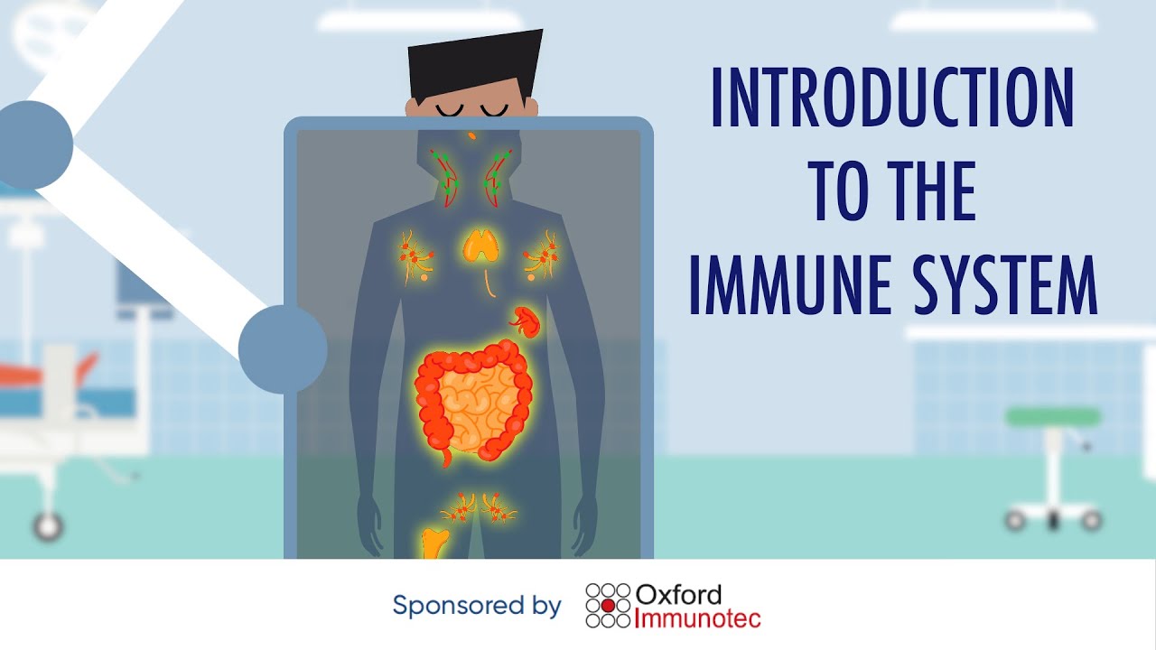 Introduction to the immune system