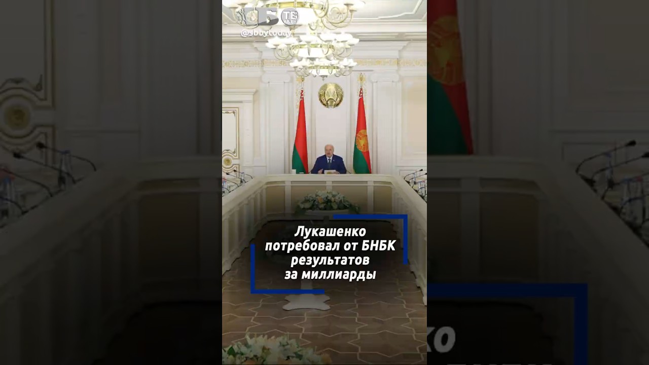 Миллиарды вложили, а отдачи нет. Лукашенко о ситуации в БНБК