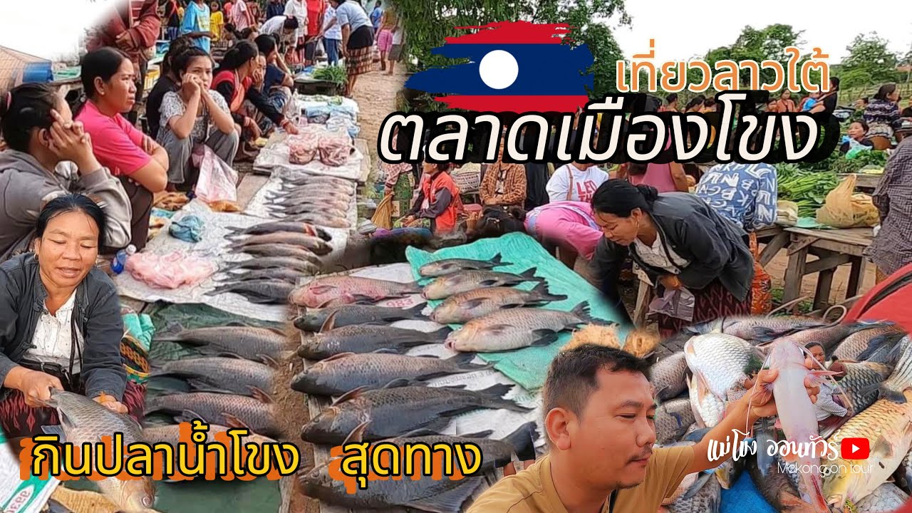 ตลาดเมืองโขง แขวงจำปาสัก สปป.ลาว สาวลาวใต้แกงปลาให้กิน Mueang Khong Market Lao local food Champasak
