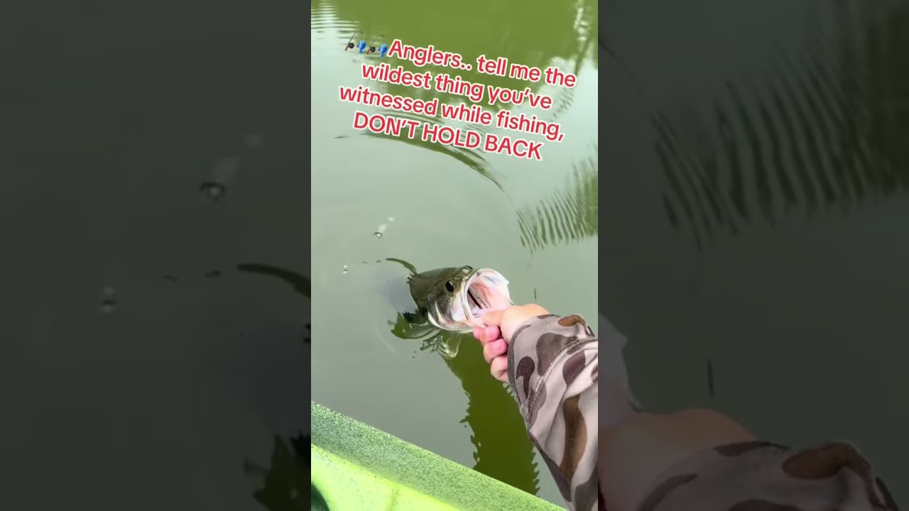 Let me know!!#fishing #relatable #fishinglife #bassfishing #storytime