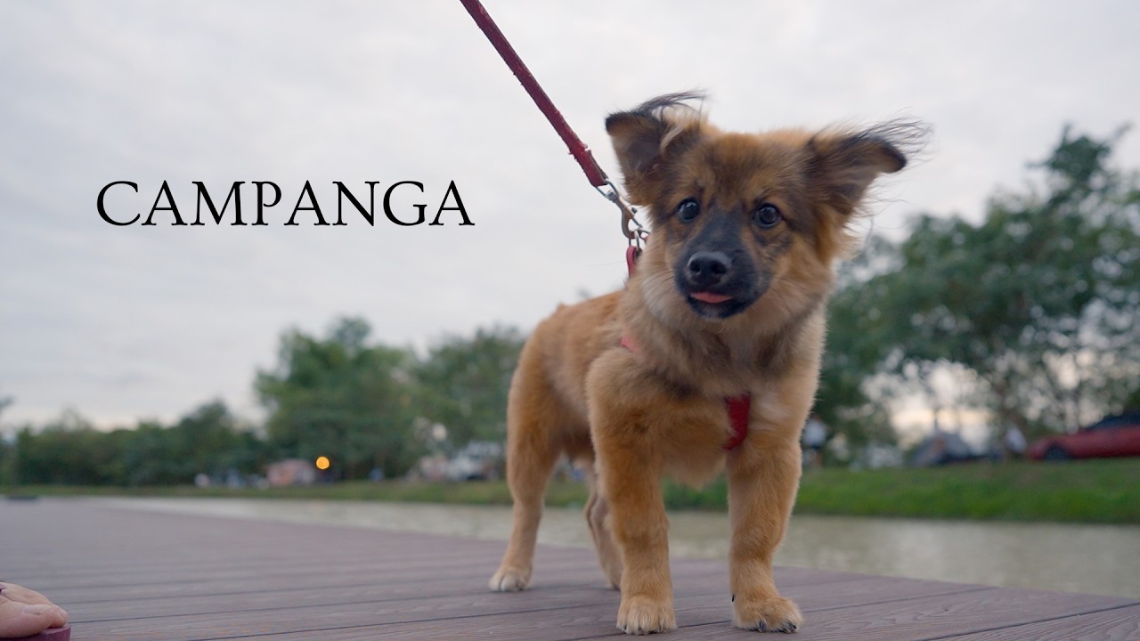 CAMPANGA