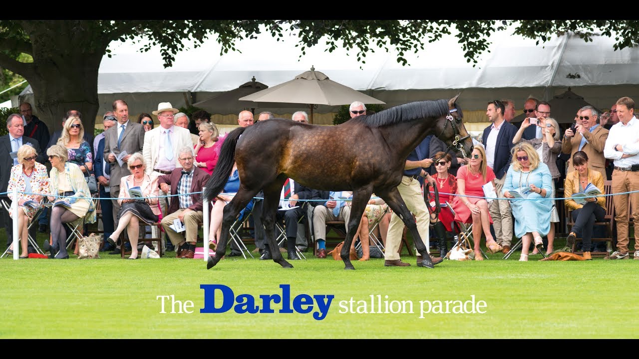 The 2017 Darley stallion parade at Dalham Hall stud