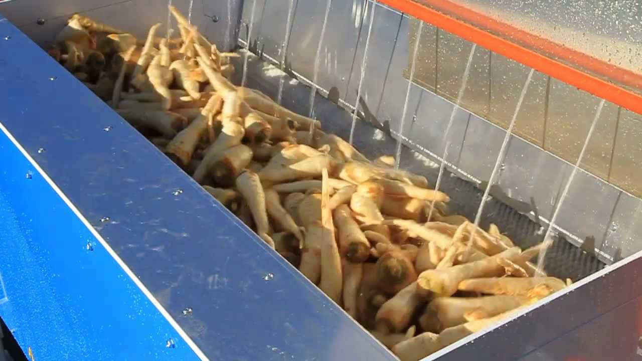 Myjka szczotkowa - Veg-Tech