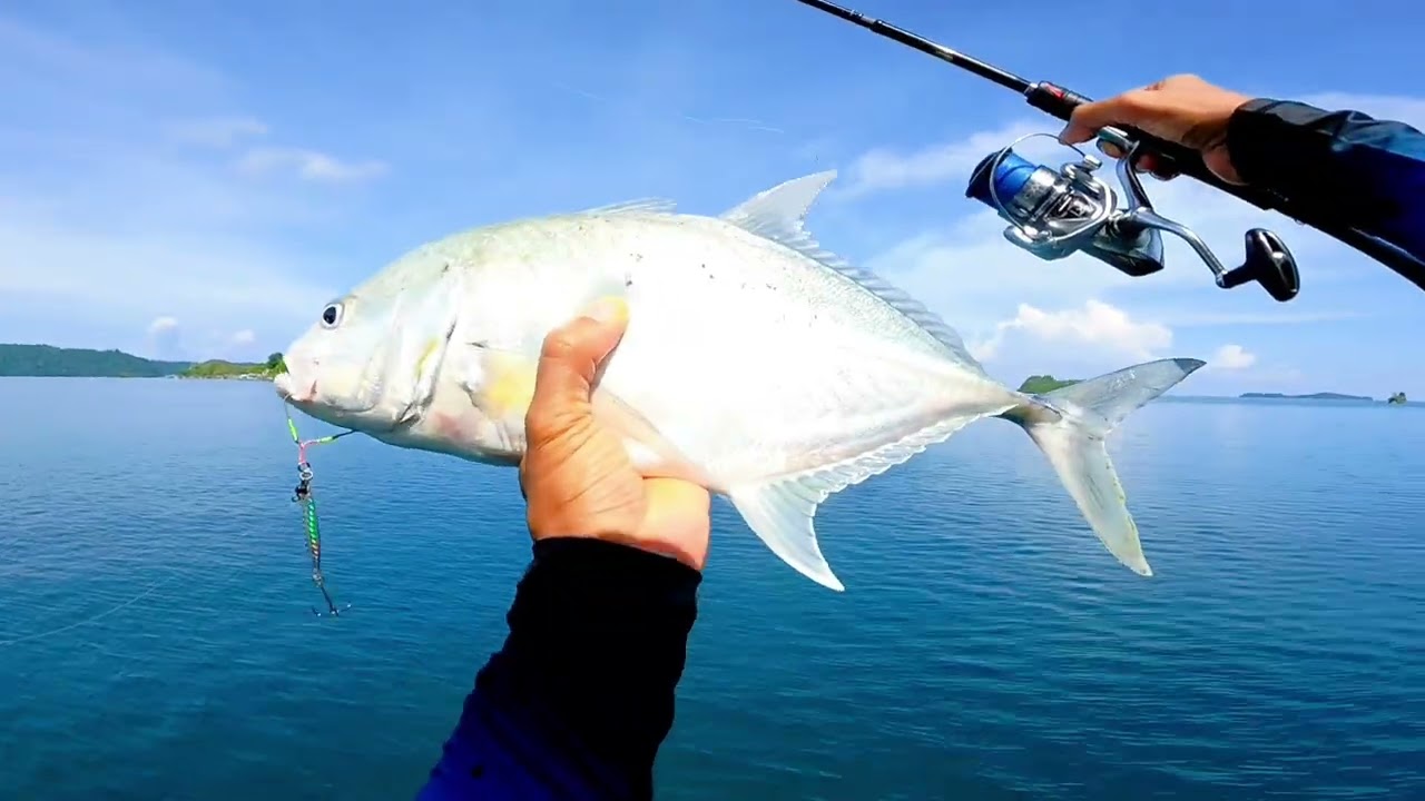 Popper, minnow, metaljig, kita coba gunakan di spot ini