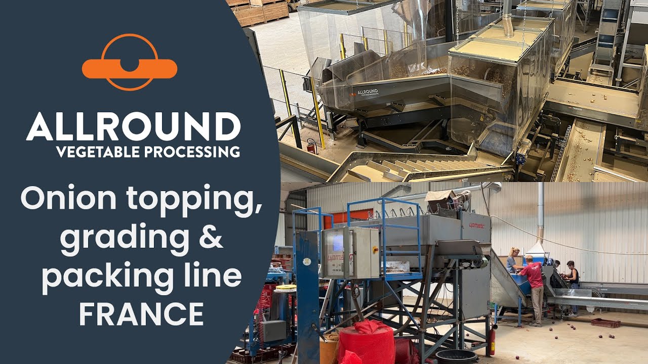 Onion topping, grading and packing line | FDL | France I Allround Vegetable Processing