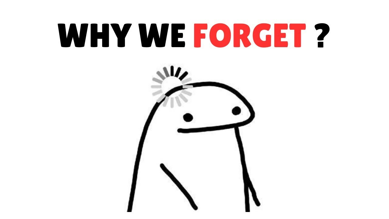 Why You Forget Everything You Study (It&rsquo;s Not Your Fault)