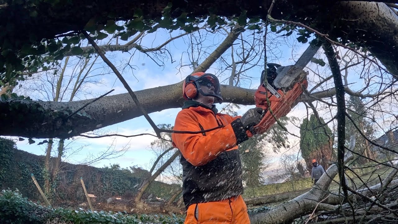 Hard and Wintery Days at Timber(Full Version) 2022