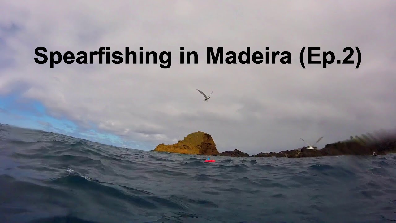 Spearfishing in Madeira | Ep.2