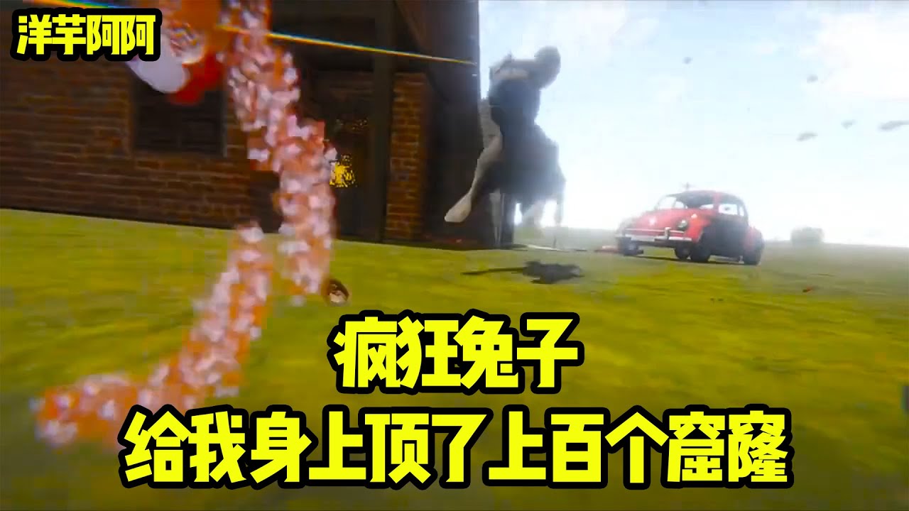 【长途旅行】我竟然被兔子入了二百来个窟窿，机枪突突根本逃不掉，洋芋直言：pp好痛！