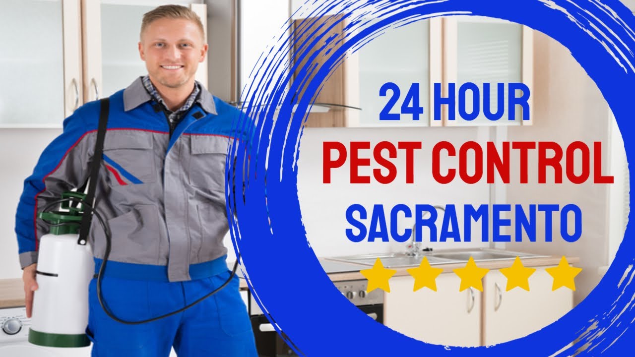 24 Hour Emergency Pest Control - Pest Control Sacramento 24 Hour Emergency Pest Control Exterminator