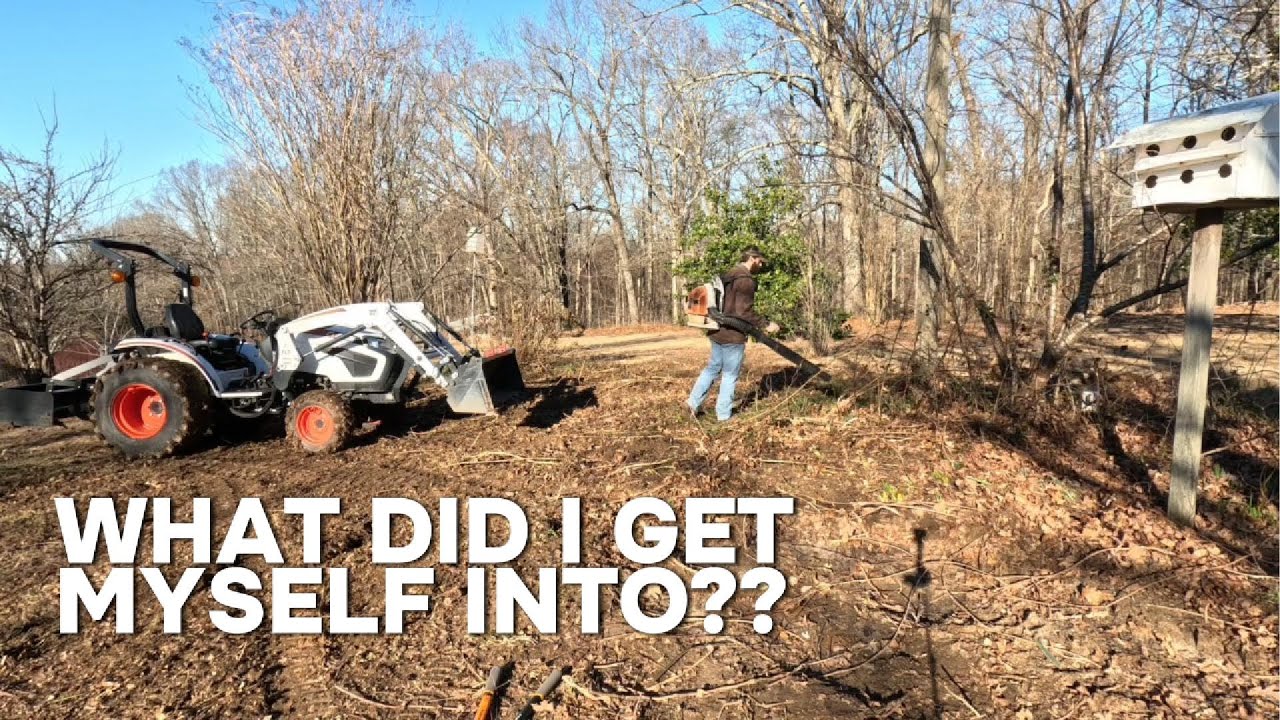 Losing the Battle to Kudzu
