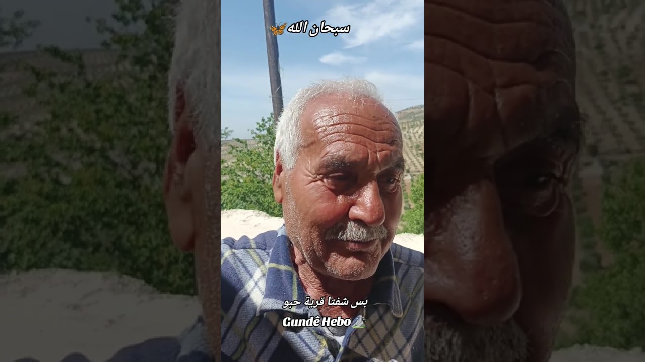 قرية حبو التابعة لناحية معبطلي في مدينة عفرين 🌺🌺🌺