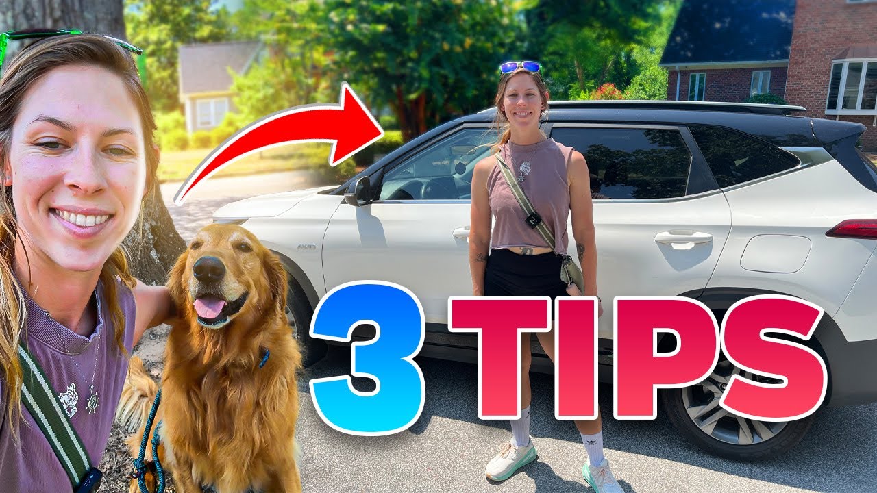 3 Tips For Starting Your Dog Walking Business