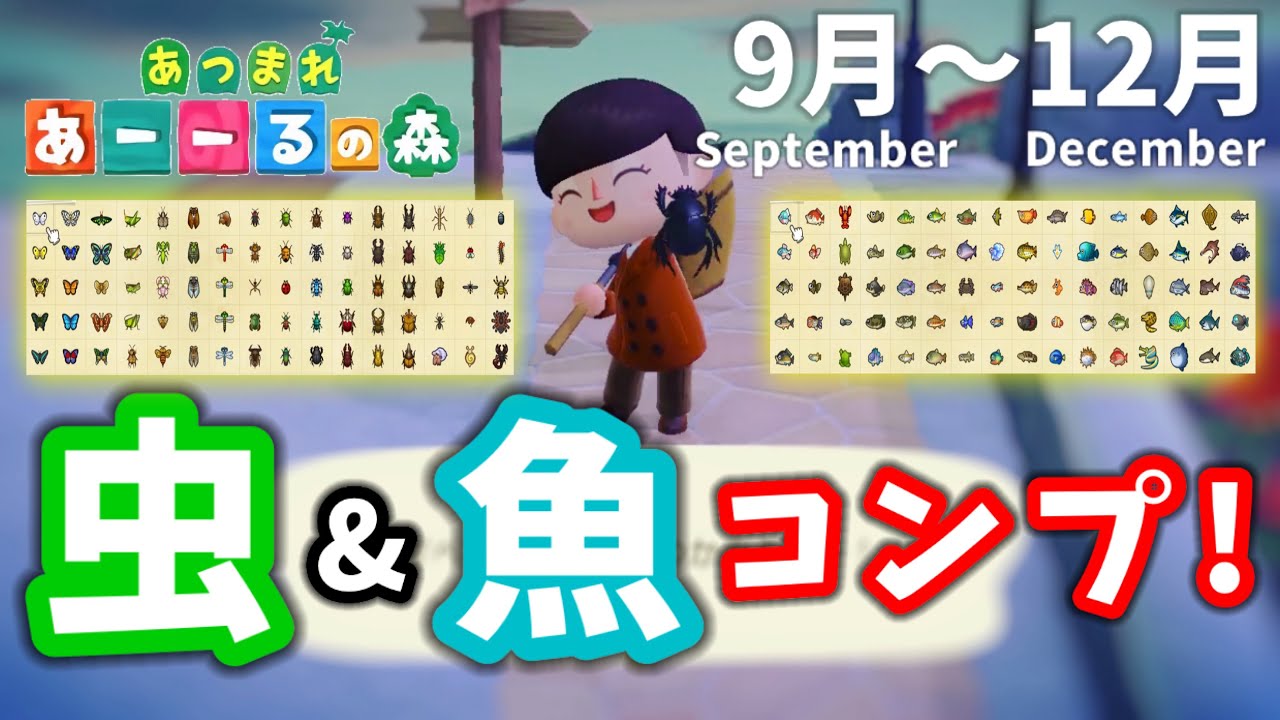 【あつ森】虫と魚コンプリート達成！ 9~12月の虫と魚すべて捕まえてみた。 Bugs to Get and Fish to Get in Sept to Dec.【ACNH】[Eng Sub]