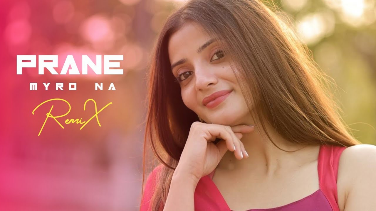 Pro Mix - Prane Myro Na | New Bangla Song | Best Techno Remix | Viral Bass Boost Mix 2025