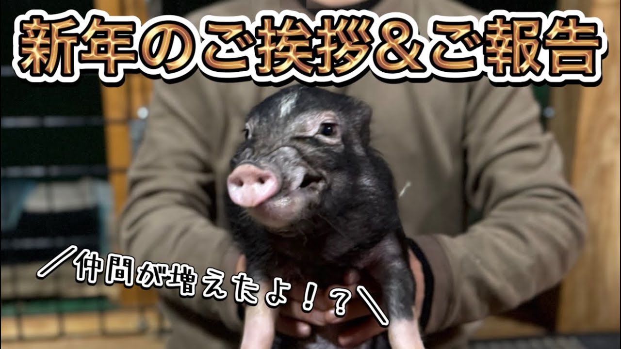 【新年ご挨拶&ご報告】2026年も賑やかになりそうです！