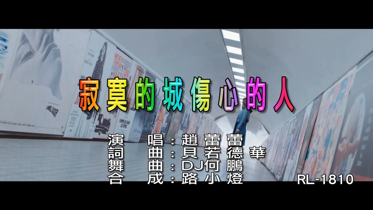趙蕾蕾 | 寂寞的城傷心的人 | (DJ版) | (1080P)KTV