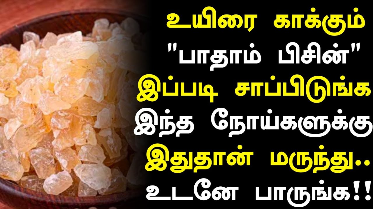 பாதாம் பிசின் சாப்பிடுவீங்களா? அதிசயம்! | Badam Pisin Health Benefits in Tamil|Health Tips in Tamil 