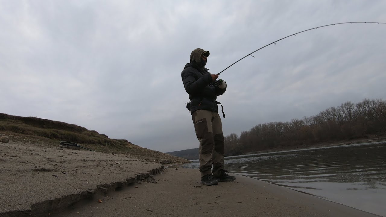 PESCUIT PE MALUL DUNARII ZONA  CERNAVODA ,spinning la salau si avat cu surpiza de peste mare