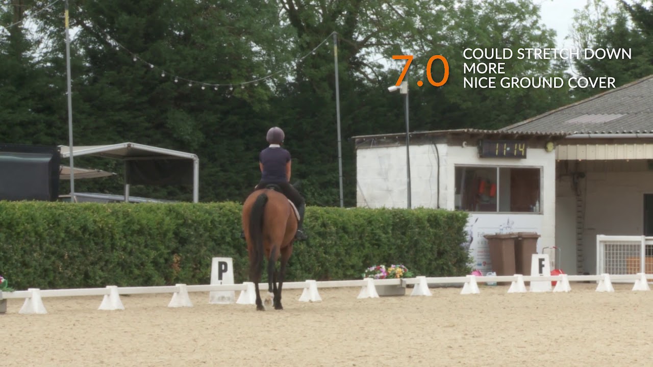 Riding a prelim test - Your Horse magazine
