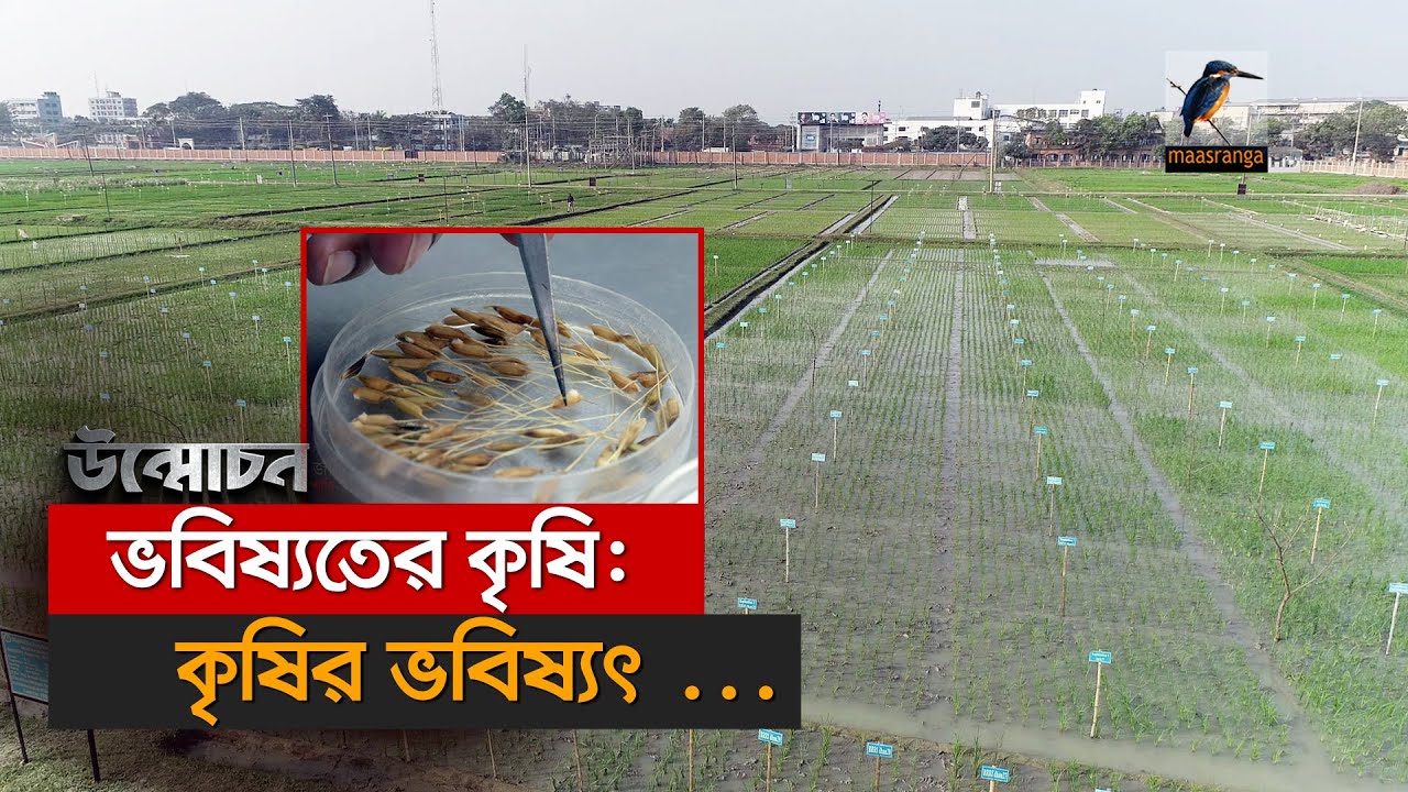 ভবিষ্যতের কৃষি: কৃষির ভবিষ্যৎ | Unmochon | উন্মোচন | Future Agriculture