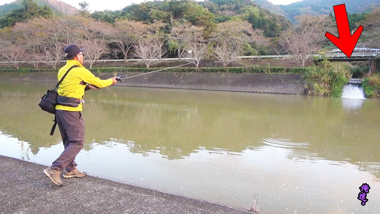 【ドロ水】唯一の綺麗な流れ込みが気になる。