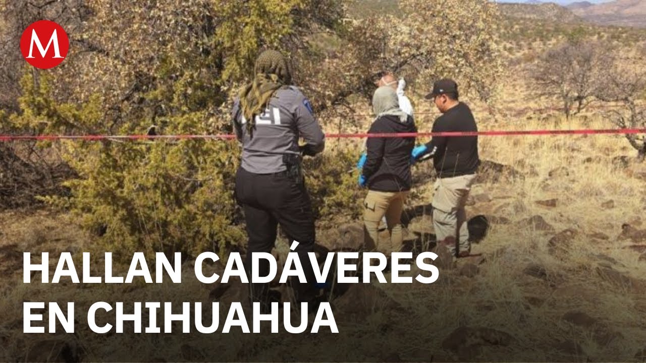 Hallan dos cuerpos semicubiertos en el municipio de Cuauht&eacute;moc, Chihuahua