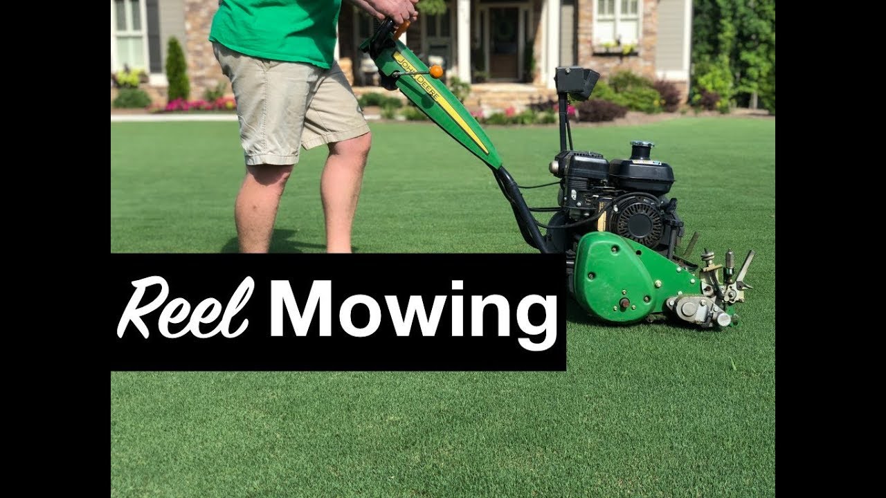 Reel Mowing Bermuda Grass || The Southern Reel Mower