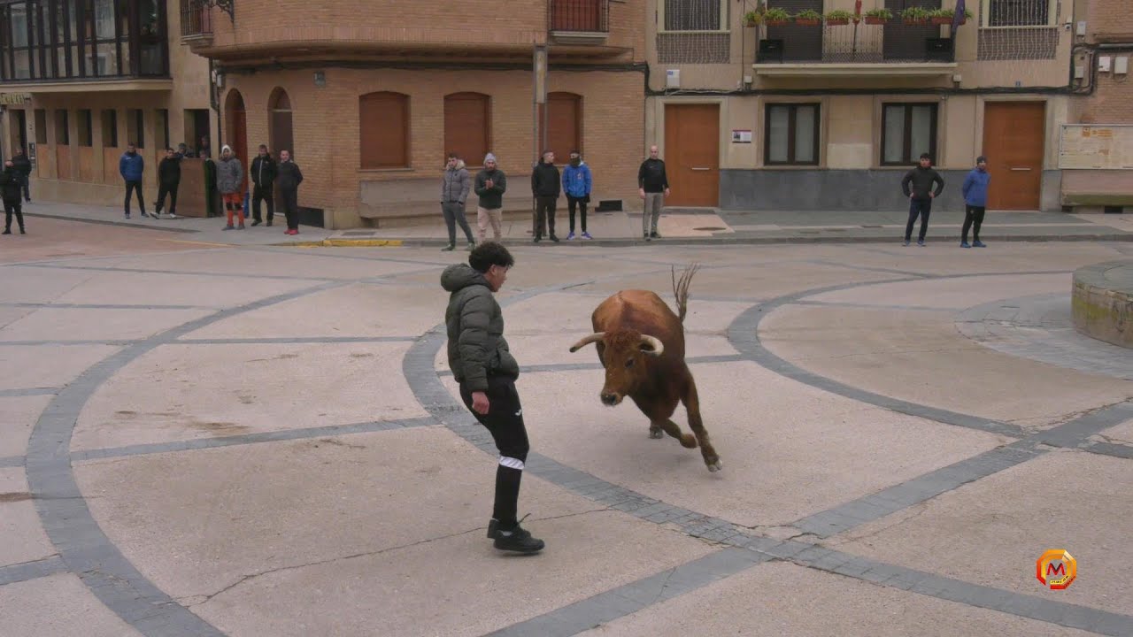 Tv Aldeanueva de Ebro - 01/01/2026 - Resumen Encierro Gan. Vicente Domínguez.