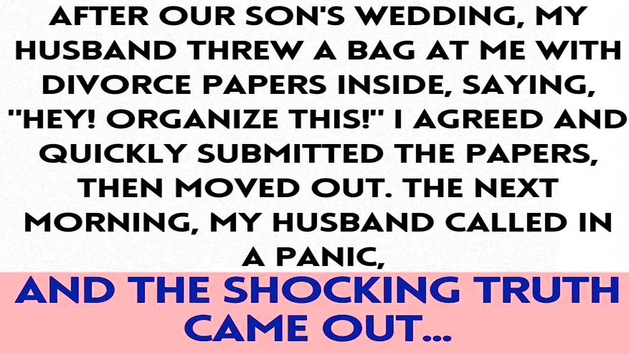 After our son's wedding, my husband threw a bag at me with divorce papers inside, saying, 'Hey....