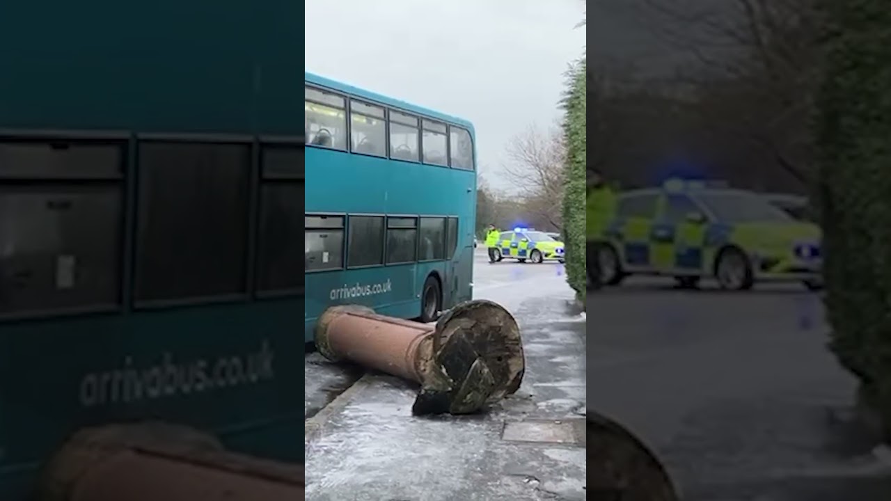 Bus takes out park landmark in early morning crash