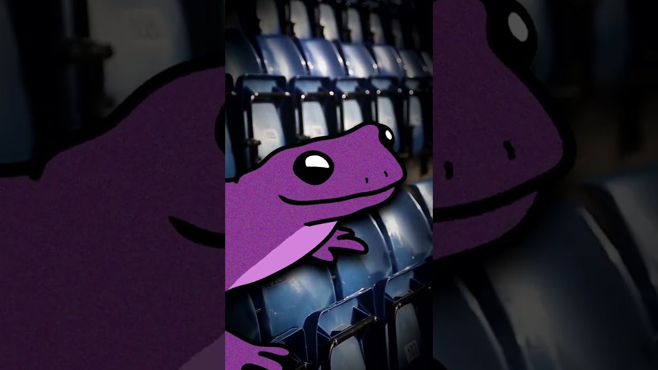 El PARTIDO M&Aacute;S CORTO de la HISTORIA (F&uacute;tbol)