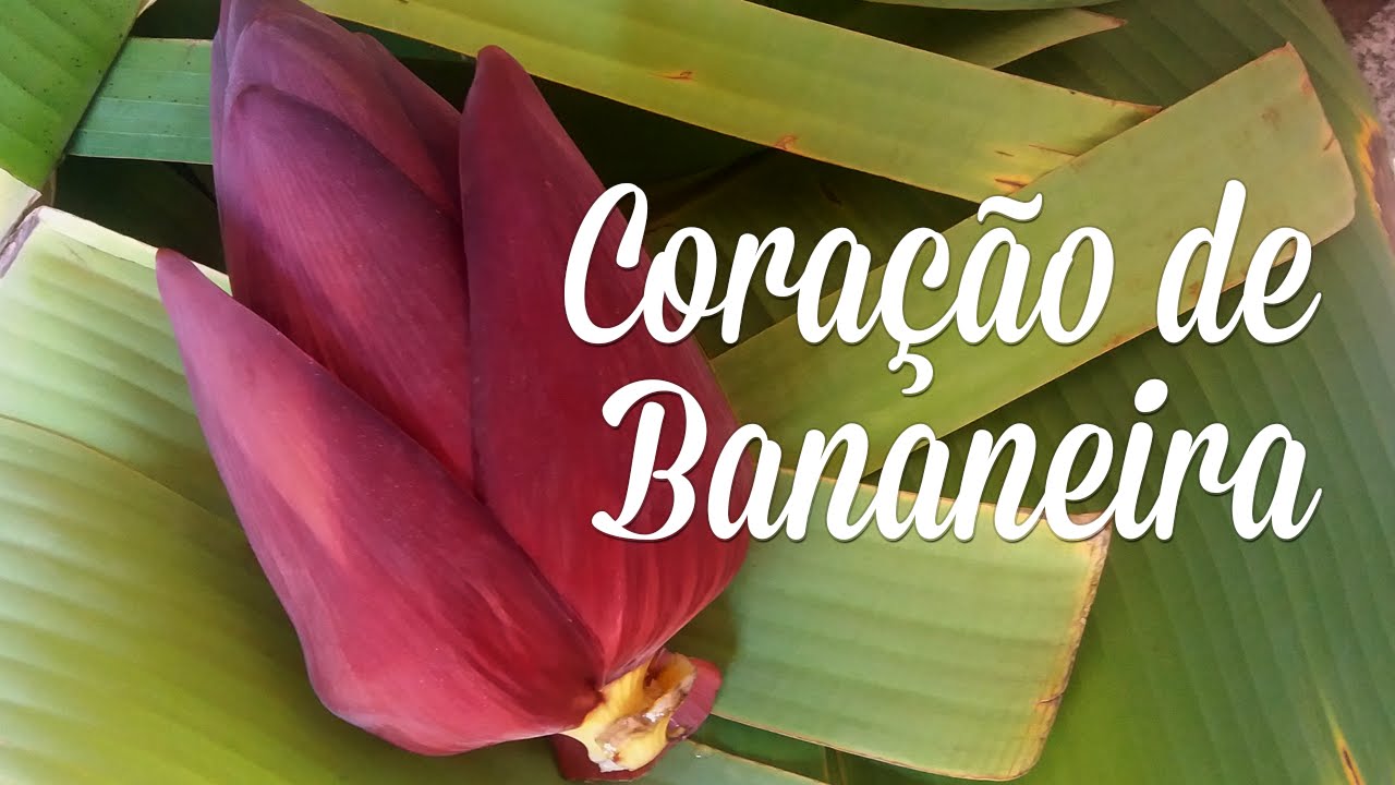 Coração de Bananeira - Testando um ingrediente