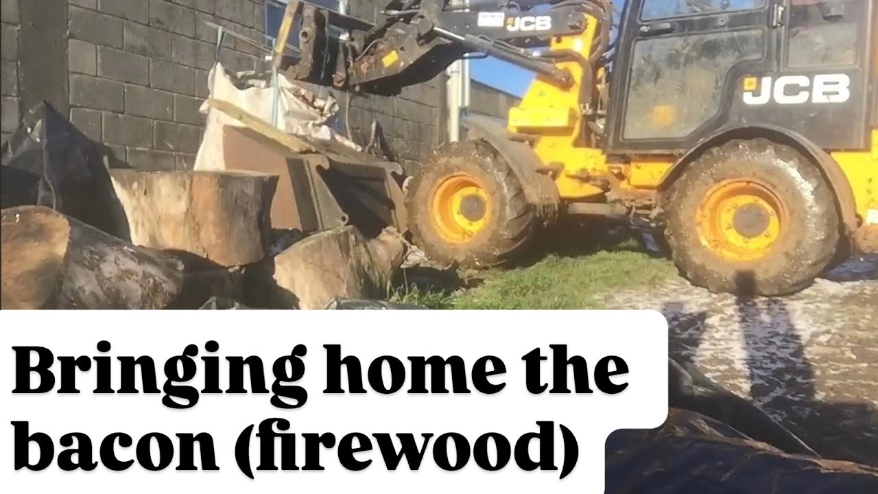 Сбор и рубка дров