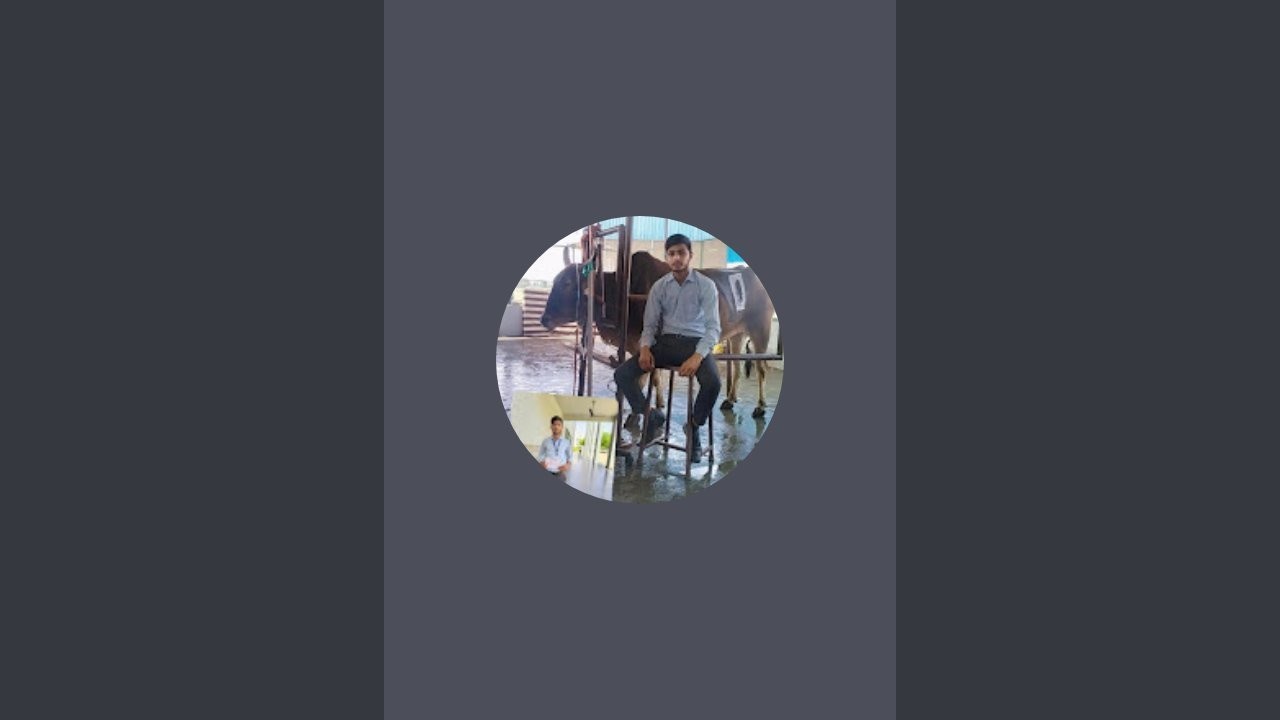 VLDA dairy farm is live Day 17