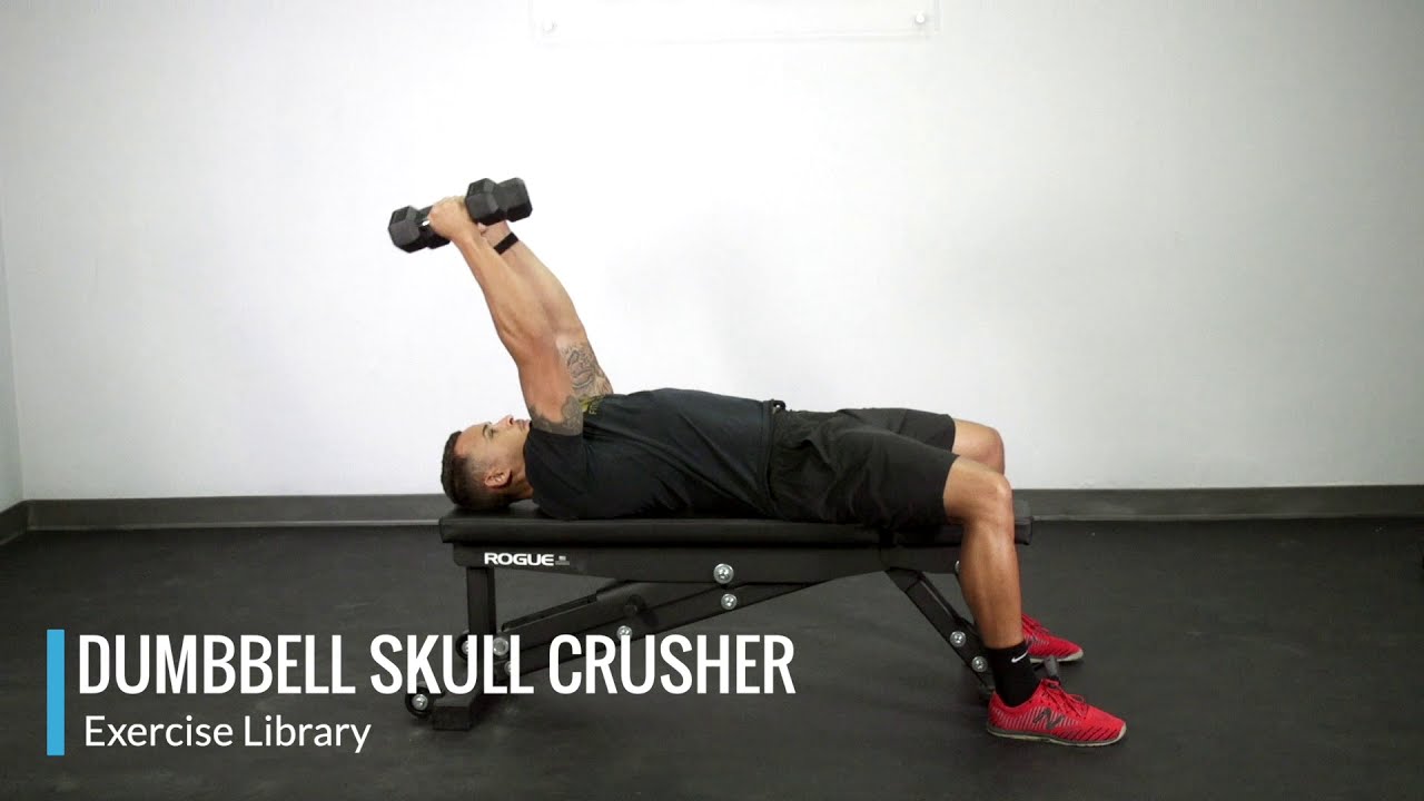 Dumbbell Skull Crusher - OPEX Exercise Library