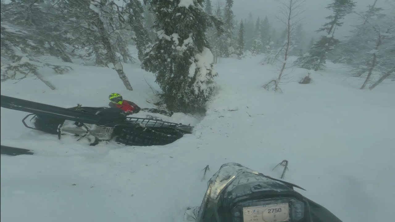 Polaris 9R Och Lynx Turbo 146 i Kanada Skog!