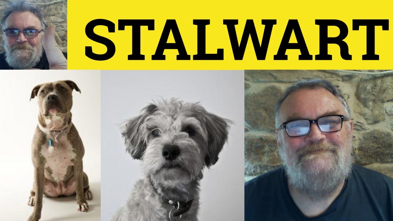 🔵 Stalwart Meaning - Stalwart Examples - Stalwart Definition  - Vocabulary Builder - British English