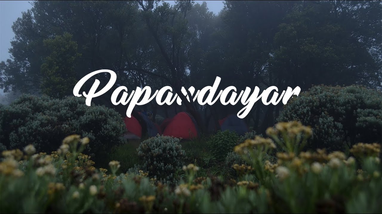 Misty Morning of Papandayan - Pondok Saladah Campground