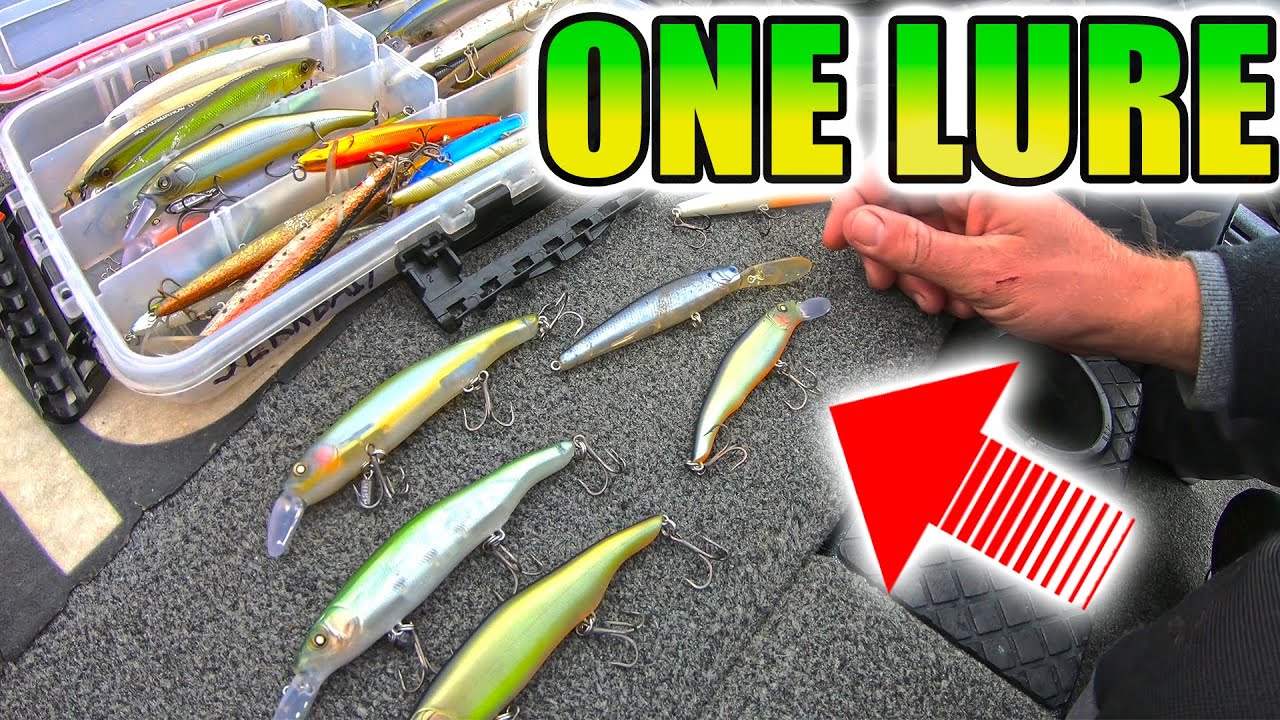 The ONLY Fishing LURE  you Need for Cold Water Fishing (Winter Bass Tips)