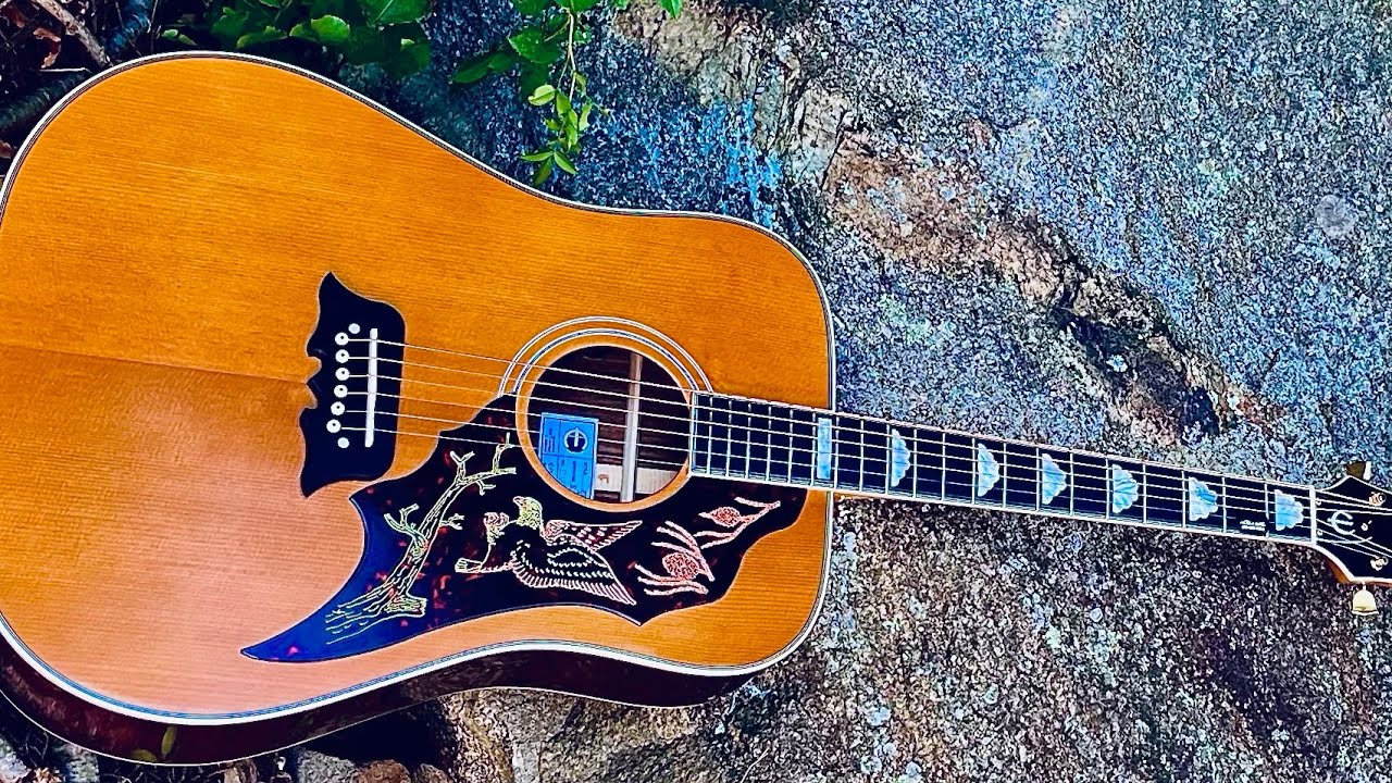 Epiphone Excellente