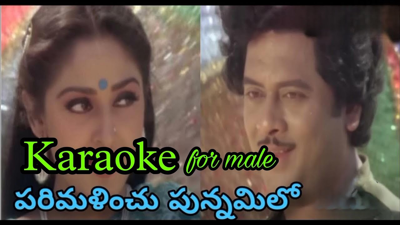 parimalinchu punnamilo karaoke for male l puli bebbuli l #parimalinchupunnamikaraoke #telugukaraoke