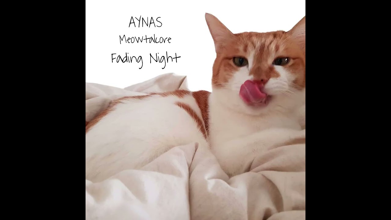 아이나스(Aynas) 'Fading Night(2026 Ver.)'